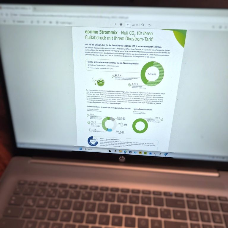 Ein Computerbildschirm zeigt eine Präsentation mit Diagrammen und Text.